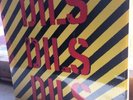 The Dils - Dils - Vinyl LP - Punk