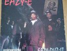 EAZY-E 12 Inch Album.