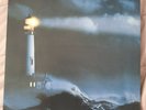 We Must Become the Pitiless Censors of Ourselves by John Maus Vinyl