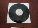 The Slits- Y Untitled Bootleg Retrospective    vinyl LP 1980