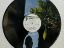 JACKIE MITTOO - IN COLD BLOOD // WILLIE WILLIAMS - ARMAGIDEON  [ JAN251 ]