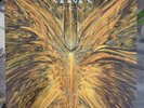 Cynic Focus Vinyl hand signed by Sean Reinert and Paul Masvidal