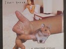 SONIC YOUTH: a thousand leaves GOOFIN' 12