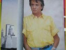 DISQUES MICHEL SARDOU 33 TOURS 13 DISQUES VINYLS