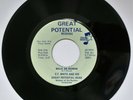 E.T. White and his Great Potential Band ?– Walk On, 7