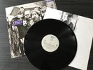 BRAD Shame Vinyl Record Pearl Jam