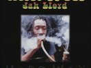 Jah Lloyd - Herbs Of Dub LP - Vinyl Album Reggae Record