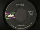 PICTURE: evolution / reach out NASCO 7