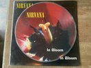 Nirvana In Bloom 12” Picture Disc Vinyl