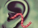 THEE OH SEES -  AN ODD ENTRANCES VINYL LP + DOWNLOAD NEW SEALED MINT