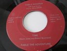 Fable The Adventure - Time / Lady - Rare Private Ohio Modern Soul 45