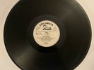 The Stanley Brothers - The White Dove / Gathering Flowers - Special Radio Record