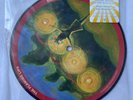 THE FLAMING LIPS - YOSHIMI BATTLES rare German 7 INCH VINYL RECORD BRAND NEW