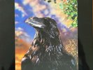 The Stranglers Vinyl The Raven 3D Lenticular Sleeve Japanese Pressing