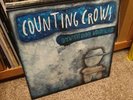 Counting Crows - Somewhere Under Wonderland Vinyl LP *Played Once* Mint Cond'n
