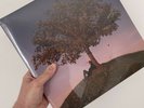 Slowthai - Tyron Clear Ltd Vinyl With Signed Print - Sealed