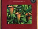 Artificial Intelligence II / 2 x Vinyl LP / 1994 Warp LP23