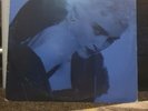 Madonna *Rare* Collectors Album I Love You