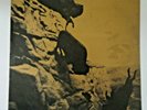 U2, ONE / LADY WITH THE SPINNING HEAD / SATELLITE OF LOVE,RARE 12