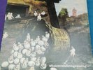Kevin Ayers 'Whatevershebringswesing' Vinyl (SHVL 800, UK pressing)