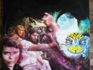 Canned Heat Living The Blues Vinyl  Liberty LDL 84001 Mono Double