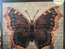 House Of Love - The House Of Love LP 1990