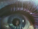 Scott walker  Scott 3  Laminated lp, gatefold sleeve  SBL 7882 (1969)