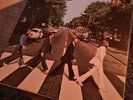 The Beatles- Abbey Road- 50th Anniversary Edition- Mega Deluxe- Vinyl