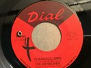 45 RPM Daybreakers DIAL 4066 Psychedlic Siren / Afterthoughts PSYCH VG