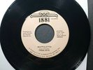 THESE DAYS Muffuletta/Get On The Beat RARE DETROIT PRIVATE FUNK BOOGIE 45 RARE