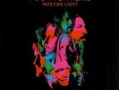 Wasting Light [VINYL]