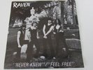 Raven on Back Alley 81' private Michigan metal / hard rock  AOR 45 7