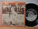 WALRUS NEVER GONNA LET MY BODY.....Mint 7'' PS Promo 1971 DERAM PROG