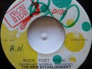 45 / REGGAE / THE NEW ESTABLISHMENT / ROCK FORT ROCK / IRON SIDE / LISTEN
