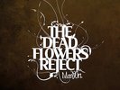Mansun - The Dead Flowers Reject Vinyl LP RSD 2020