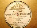 1904 Nellie 