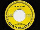 Bonnie Bonny Floyd - I'm So Lucky / I'm Just A Poor Boy (Soul, 45) 64
