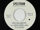 Crossover Soul 45 - Lily Fields & Hoagy Lands - Sweet Soul - Spectrum - VG++ mp3