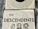 Descendents Ride The Wild Its A Hectic World 7” 1980 PINSICATO records Punk