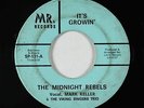 Northern Soul 45 - Midnight Rebels - It's Growin' - Mr. - mp3 - obscure