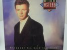 Rick Astley Whenever You Need Somebody LP Record Album Vinyl