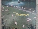 THE FLAMINGOS LP RARE ORIGINAL