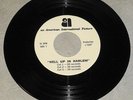 HELL UP IN HARLEM orig 1973 blaxploitation movie radio spot set on 45 RPM vinyl