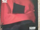 Billy Joel - Storm Front Vinyl LP, Friday Music 2010 US Reissue 180 gr