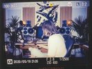 LLOYD, J - Kosmos - Vinyl (transparent blue vinyl LP + MP3 download code)