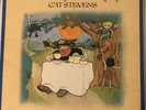 CAT STEVENS 'TEA FOR THE TILLERMAN' VINYL LP.  ISLAND PINK RIM LABEL 2nd press