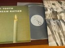 Sonic Youth 2 x LP Daydream Nation Rare Poster Insert Vinyl Gatefold Mint/Mint