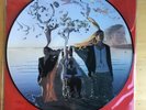 The Mars Volta Televators Vinyl Record Limited Picture Disc Erika Records 2003