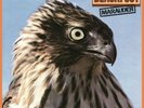 BLACKFOOT - MARAUDER 180 GRAM DUTCH LP * NEW *