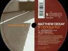 Matthew Dekay - If I Could Fly (12